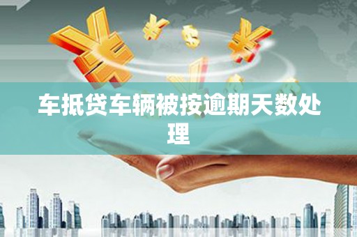 龙南车抵贷车辆被按逾期天数处理