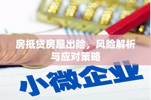 龙南房抵贷房屋出险，风险解析与应对策略