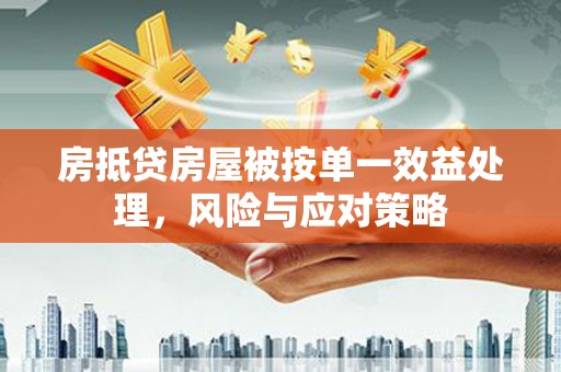 新城房抵贷房屋被按单一效益处理，风险与应对策略