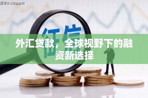 宁县外汇贷款，全球视野下的融资新选择