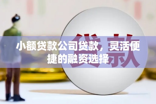 麦寮小额贷款公司贷款，灵活便捷的融资选择