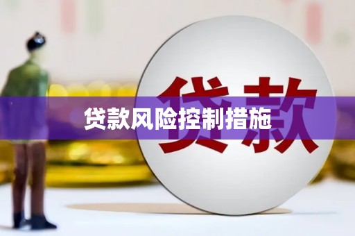 米林贷款风险控制措施