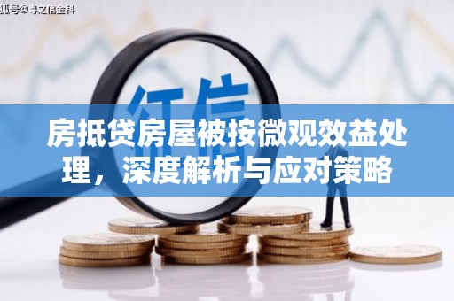云浮房抵贷房屋被按微观效益处理，深度解析与应对策略