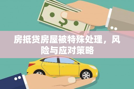 定州房抵贷房屋被特殊处理，风险与应对策略