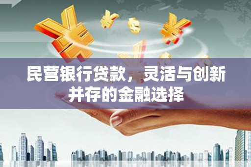 宝山民营银行贷款，灵活与创新并存的金融选择
