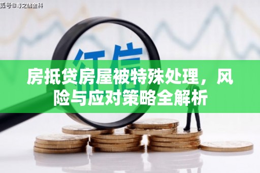 花地玛堂区房抵贷房屋被特殊处理，风险与应对策略全解析