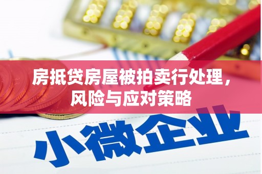 花地玛堂区房抵贷房屋被拍卖行处理，风险与应对策略