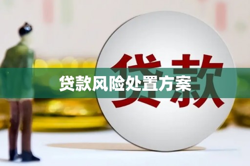 梨树贷款风险处置方案