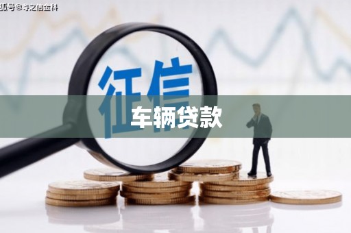 定州车辆贷款