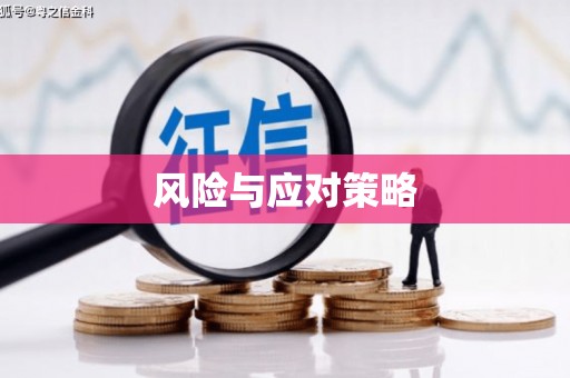 昌宁风险与应对策略