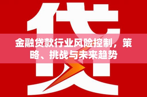昌宁金融贷款行业风险控制，策略、挑战与未来趋势