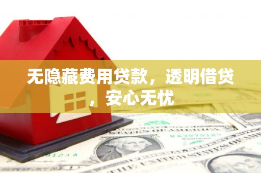 龙安无隐藏费用贷款，透明借贷，安心无忧