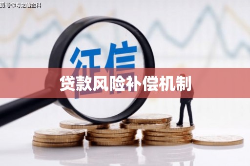 虎林贷款风险补偿机制