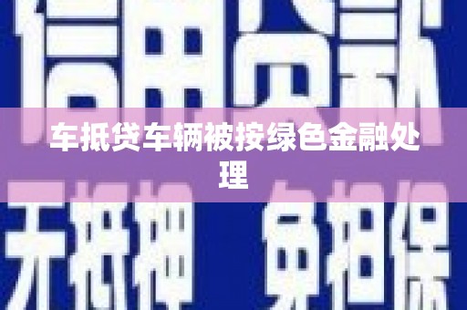 保亭车抵贷车辆被按绿色金融处理