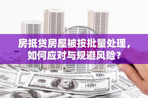 松北房抵贷房屋被按批量处理，如何应对与规避风险？