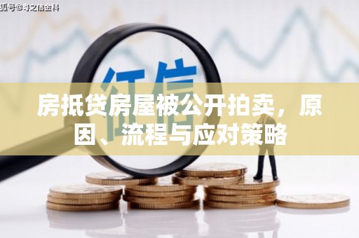 莘县房抵贷房屋被公开拍卖，原因、流程与应对策略