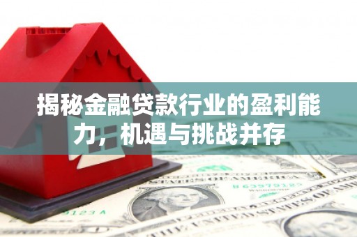 大足揭秘金融贷款行业的盈利能力，机遇与挑战并存
