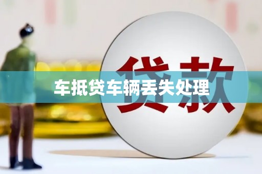 息县车抵贷车辆丢失处理