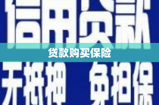 文峰贷款购买保险
