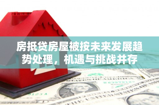 平果房抵贷房屋被按未来发展趋势处理，机遇与挑战并存