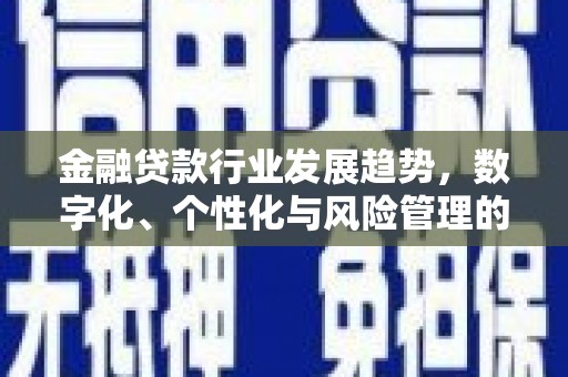 晋宁金融贷款行业发展趋势，数字化、个性化与风险管理的未来