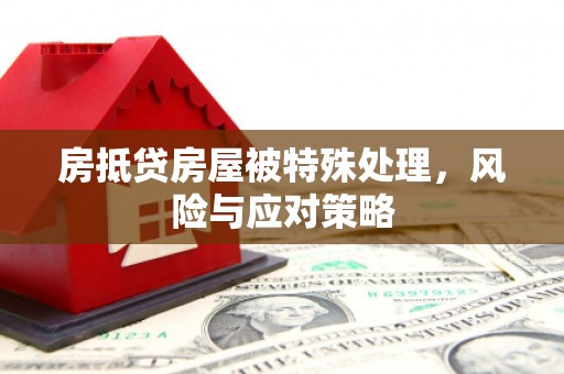 员山房抵贷房屋被特殊处理，风险与应对策略