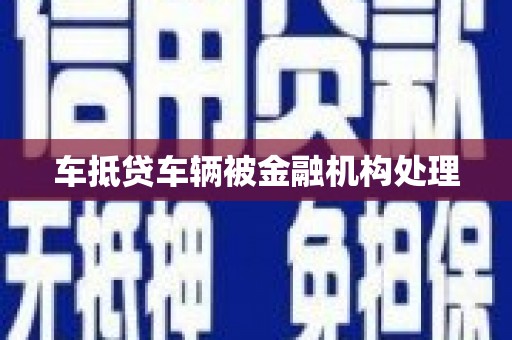 英山车抵贷车辆被金融机构处理