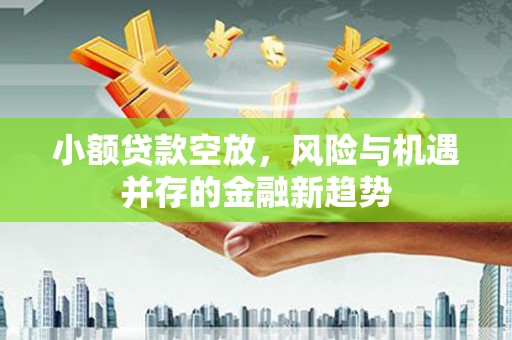 大悟小额贷款空放，风险与机遇并存的金融新趋势