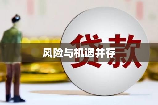 内乡风险与机遇并存