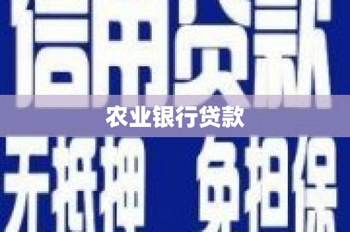 松溪农业银行贷款