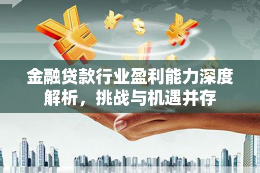 绿岛金融贷款行业盈利能力深度解析，挑战与机遇并存