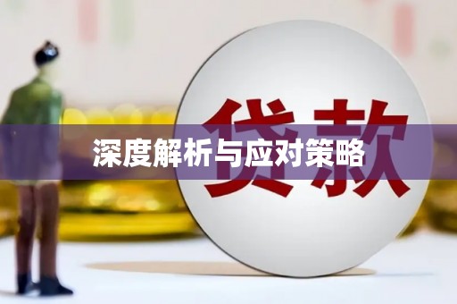 西夏深度解析与应对策略