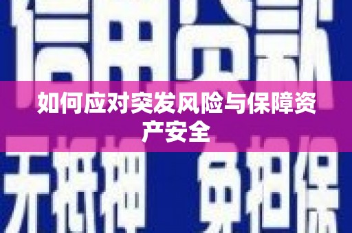 西夏如何应对突发风险与保障资产安全