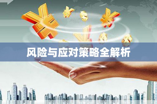 秭归风险与应对策略全解析