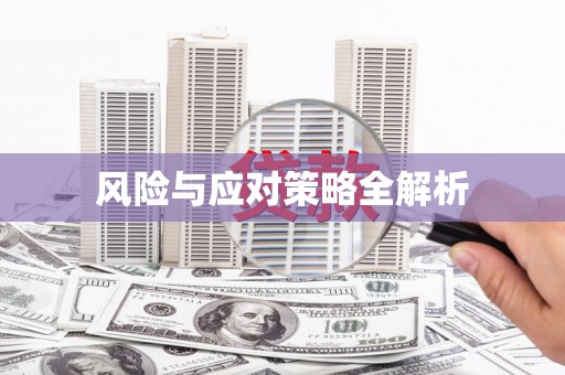 耿马风险与应对策略全解析