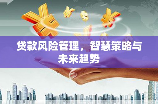 衡南贷款风险管理，智慧策略与未来趋势