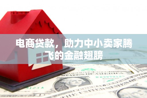 疏勒电商贷款，助力中小卖家腾飞的金融翅膀