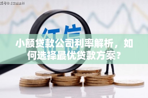 空港小额贷款公司利率解析，如何选择最优贷款方案？