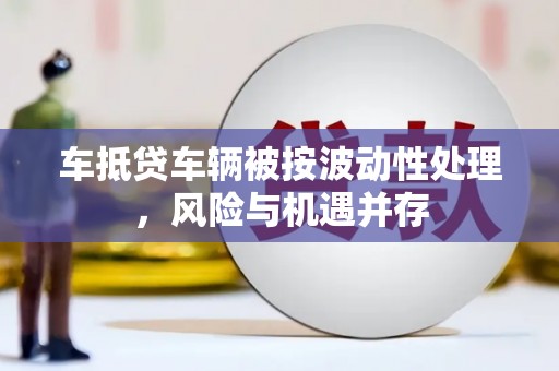 卢龙车抵贷车辆被按波动性处理，风险与机遇并存