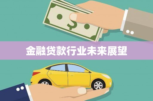 河东金融贷款行业未来展望
