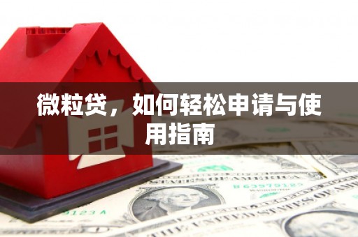 远安微粒贷，如何轻松申请与使用指南