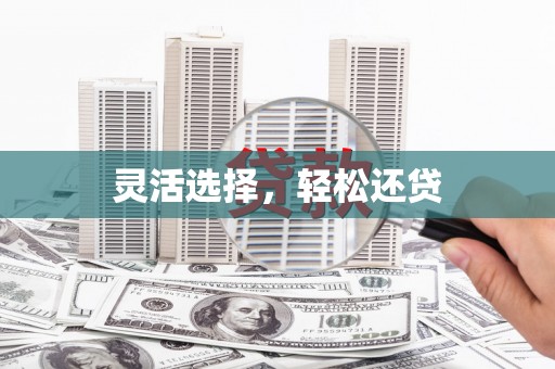 志丹灵活选择，轻松还贷