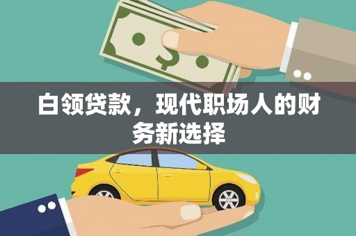 鄯善白领贷款，现代职场人的财务新选择
