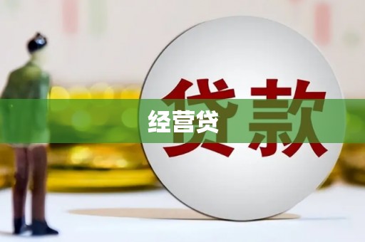 和布克赛尔经营贷