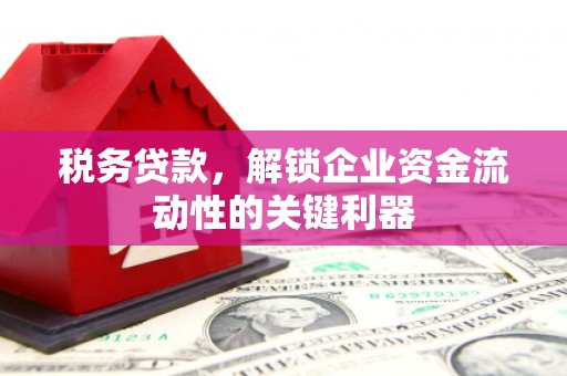 融水税务贷款，解锁企业资金流动性的关键利器