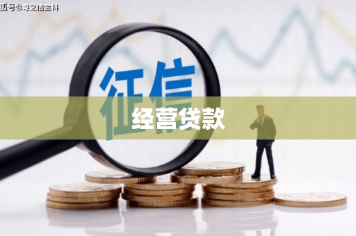 安新经营贷款