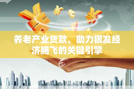 雨湖养老产业贷款，助力银发经济腾飞的关键引擎