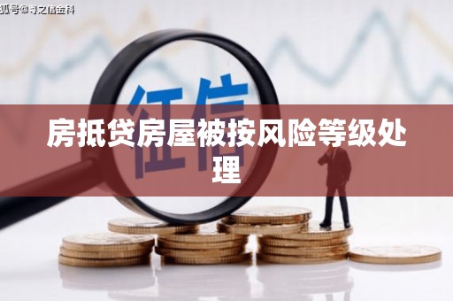 额尔古纳房抵贷房屋被按风险等级处理