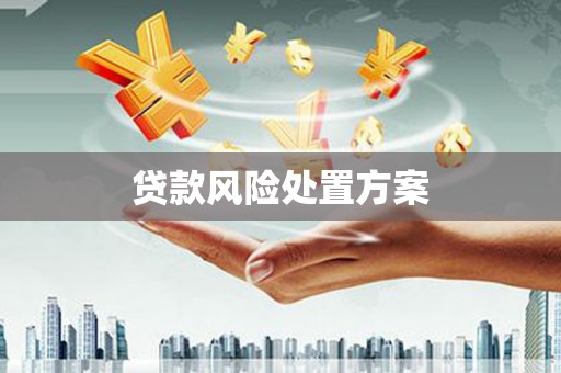 大林贷款风险处置方案