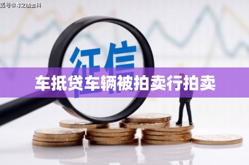 大林车抵贷车辆被拍卖行拍卖